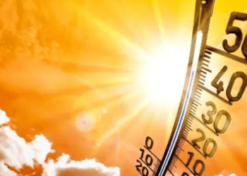 Cod Galben de caniculă: +35°C în sud și centru pe 24 iulie