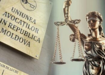 Алина Палий о фейковых 300 тысячах подкупленных и что произойдёт, если адвокатам закроют рот