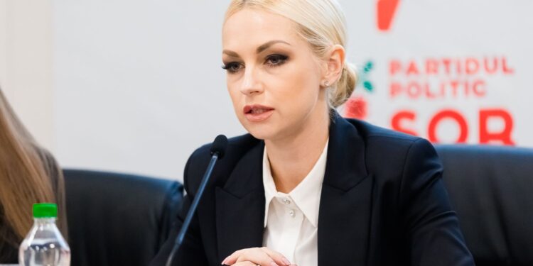 Pledoariile finale în dosarul Marinei Tauber: Cum demontează avocații acuzațiile