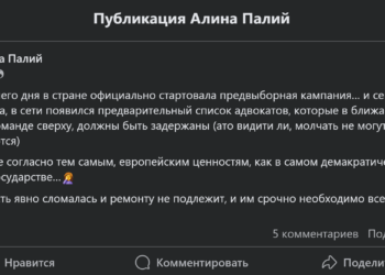 Avocata Alina Palii: Guvernarea s-a defectat și nu mai poate fi reparată