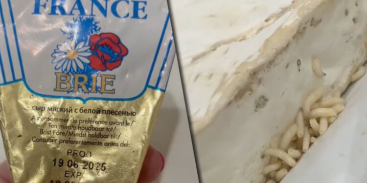 Viermi vii descoperiți într-un cașcaval cumpărat în Căușeni: Consumatoare revoltată