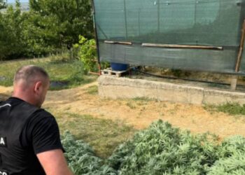 Droguri descoperite în Căușeni și Chișinău: suspecții riscă până la 15 ani de pușcărie