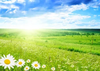 Прогноз погоды на 19 июля