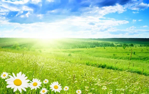 Прогноз погоды на 19 июля