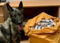 Țigări ascunse în tavanul unui vagon, depistate de câinele Emma la Ungheni