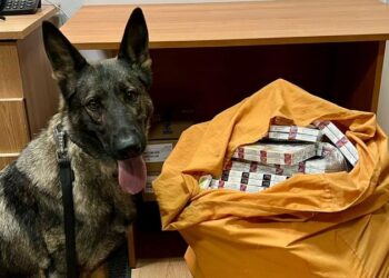 Țigări ascunse în tavanul unui vagon, depistate de câinele Emma la Ungheni