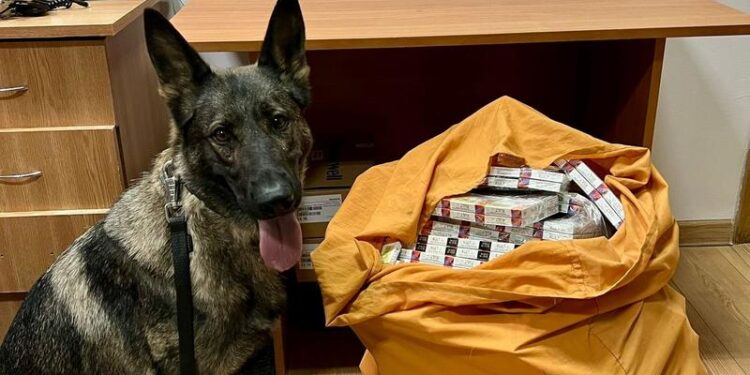 Țigări ascunse în tavanul unui vagon, depistate de câinele Emma la Ungheni