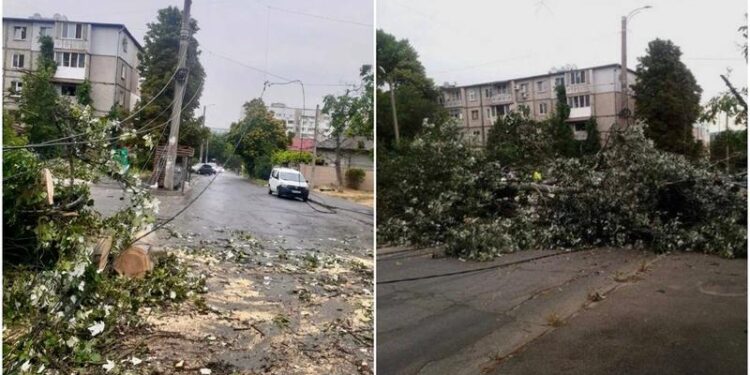 Vântul puternic a doborât mai mulți copaci peste o stradă de la Botanica: Circulația, blocată, poliția – la fața locului