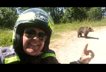 Tragedie pe Transfăgărășan: un italian, ucis de o ursoaică după ce a încercat să o hrănească