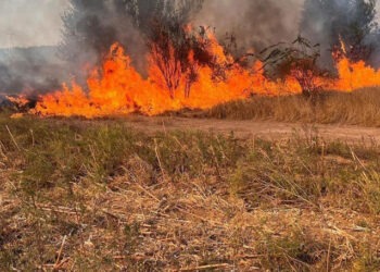 Incendiu de vegetație la Hlinaia: bărbat cu arsuri, pompierii au stins focul pe un hectar