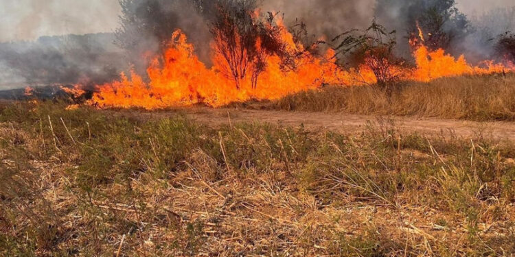 Incendiu de vegetație la Hlinaia: bărbat cu arsuri, pompierii au stins focul pe un hectar