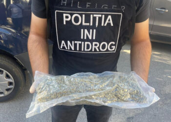 Grupare specializată în contrabanda cu droguri, destructurată de Poliția Națională