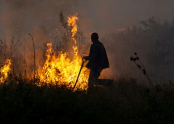 Val de incendii de vegetație în BUlgaria declanșate de canicula severă