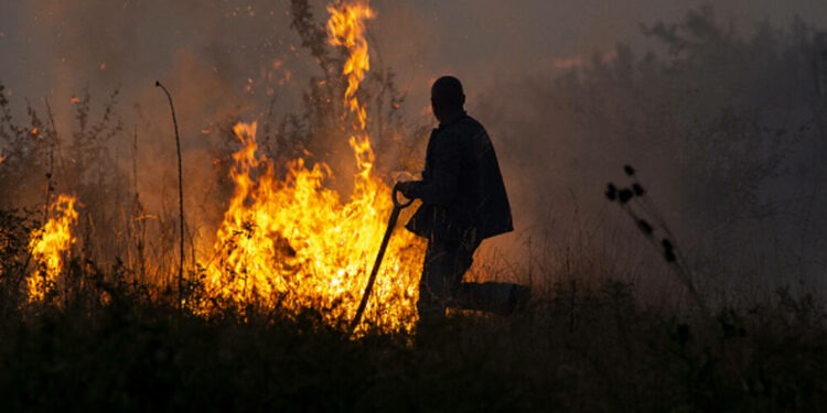 Val de incendii de vegetație în BUlgaria declanșate de canicula severă