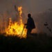 Val de incendii de vegetație în BUlgaria declanșate de canicula severă