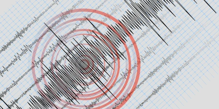 Cutremur, marți seara, în judeţul Vrancea. Ce magnitudine a avut