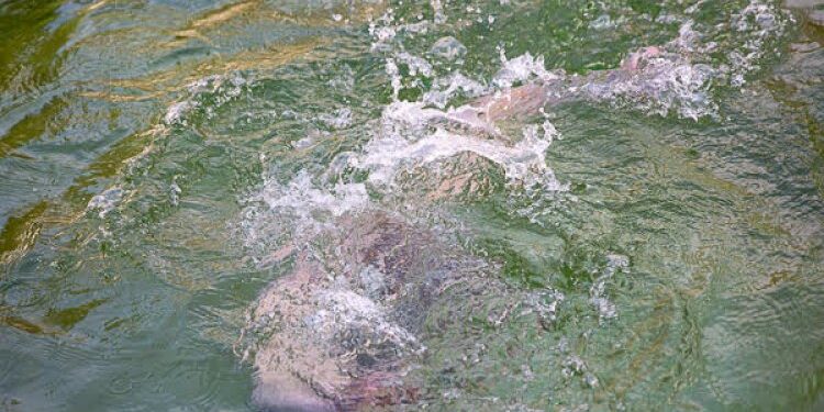 Почти 40 человек утонули с начала этого года