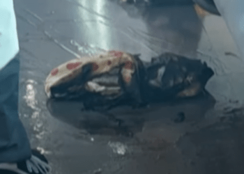 Panică la metrou: O baterie externă de telefon mobil a explodat și a rănit cinci persoane