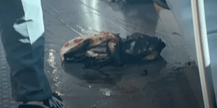 Panică la metrou: O baterie externă de telefon mobil a explodat și a rănit cinci persoane