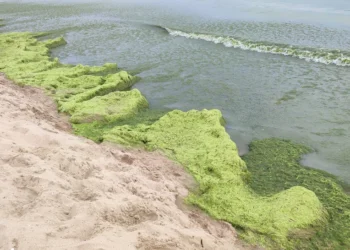 Вода в Чёрном море в разгар сезона остыла до 15 градусов: Граждане Молдовы, отдыхающие на побережье в Румынии и Болгарии в шоке — купаться невозможно