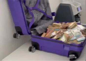 Мужчина, задержанный с полумиллионом евро в чемодане, приговорён к тюремному заключению. Какое наказание он получил