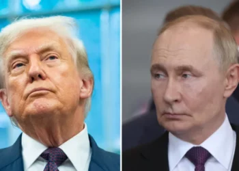 Путин и Трамп могут встретиться уже на следующей неделе