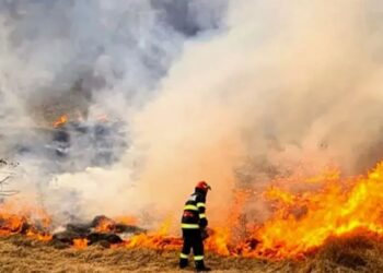 Сильный пожар на железнодорожной станции в Кантемире: горит сухая растительность
