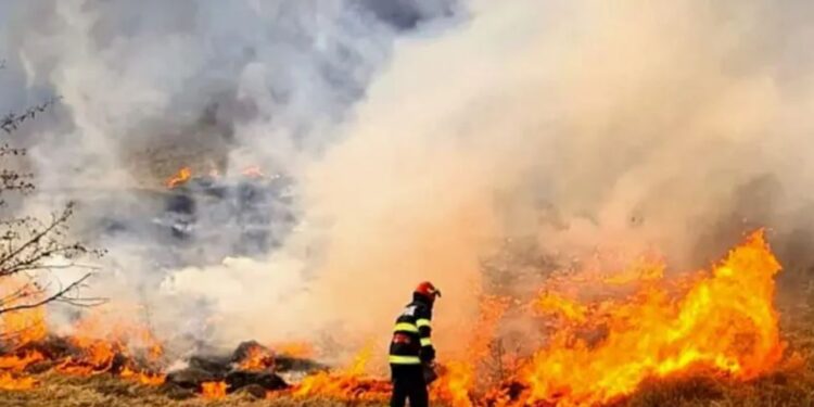Сильный пожар на железнодорожной станции в Кантемире: горит сухая растительность