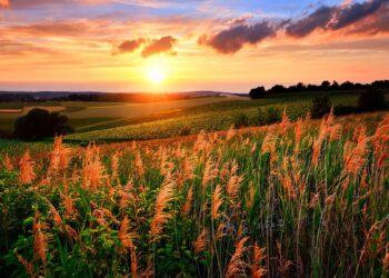 Синоптики рассказали, какой будет погода 24 августа