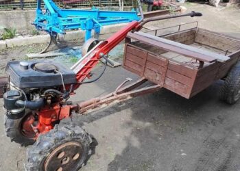 Смертельное ЧП с мотокультиватором в Фалештах