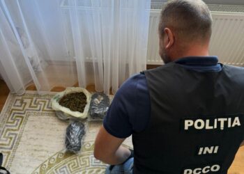 В Кишинёве задержана пара за незаконный оборот наркотиков через Telegram