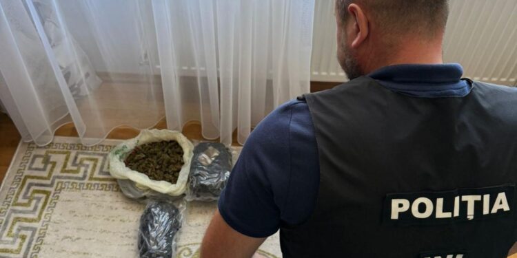 В Кишинёве задержана пара за незаконный оборот наркотиков через Telegram