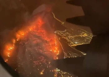 Огонь подбирается к Мадриду: тысячи людей эвакуированы в Испании из-за лесных пожаров