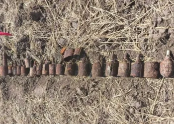 Сапёры в действии! Десятки взрывоопасных предметов времён Второй мировой войны уничтожены в Молдове