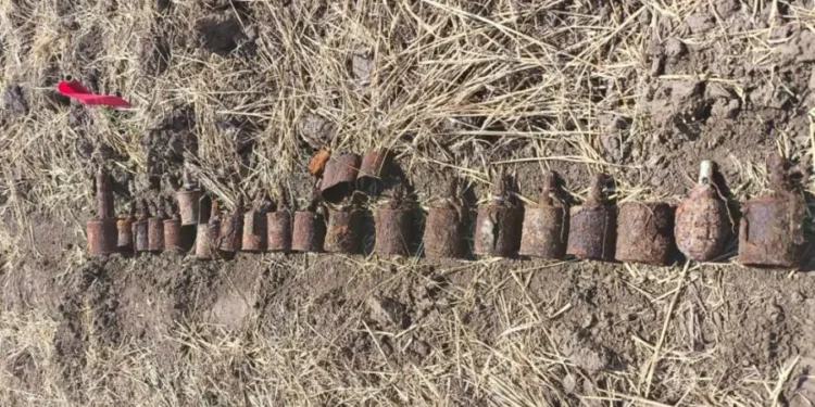 Сапёры в действии! Десятки взрывоопасных предметов времён Второй мировой войны уничтожены в Молдове