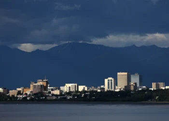 С какими картами на руках Россия и США подошли к саммиту на Аляске