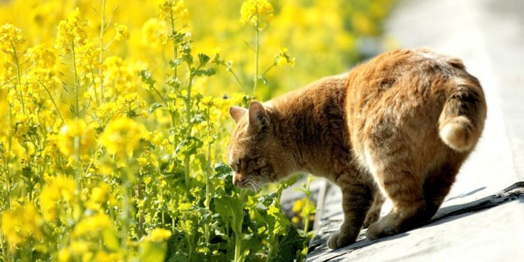 Прогноз погоды на 5 августа: до 35°C, местами грозы