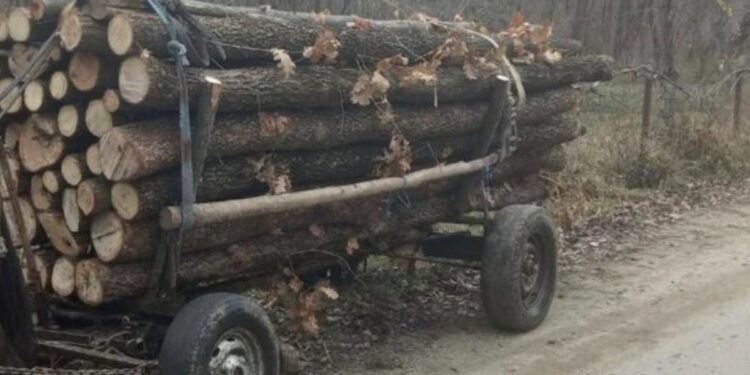 Șef de Inspecție agresat de un căruțaș în timpul unei verificări în Bălți