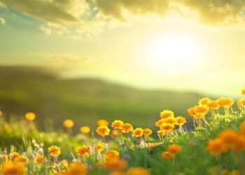 Тепло и без осадков: прогноз погоды на пятницу, 1 августа