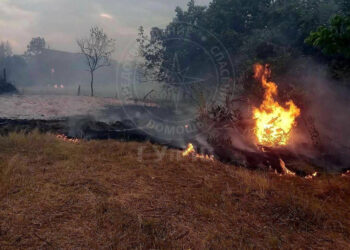 Наркосхема с участием подростка и украинца раскрыта в столице