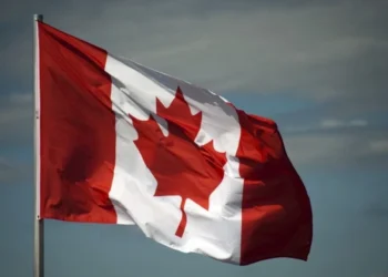 Накануне парламентских выборов Канада снова санкционирует политиков из Молдовы