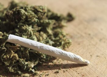 Молдаванин и украинец задержаны за контрабанду наркотиков из Испании на сумму более 2,5 млн леев