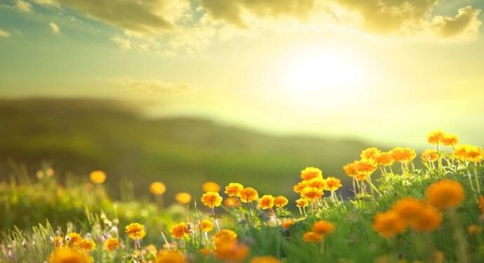 Тепло и без осадков: прогноз погоды на пятницу, 1 августа