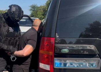 Полиция задержала четырех участников преступных группировок. В чем их подозревают?