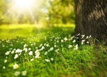 Ясная, без осадков погода: прогноз синоптиков на четверг, 14 августа