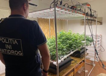 Полиция задержала преступную группировку, которая распространяла наркотики