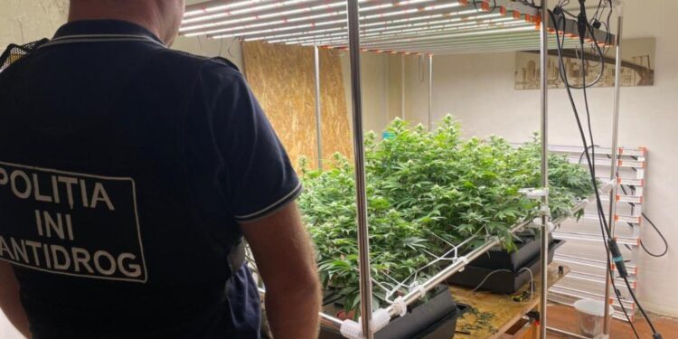 Полиция задержала преступную группировку, которая распространяла наркотики