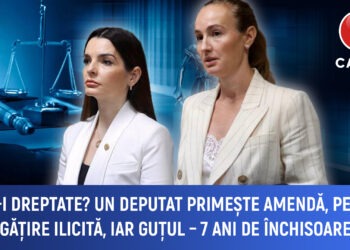 Asta-i dreptate? Un deputat primește amendă pentru îmbogățire ilicită, iar Guțul 7 ani de închisoare
