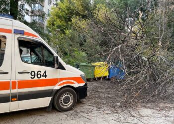 Последствия шторма: женщину ранило упавшее дерево в Кишиневе