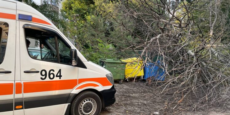 Последствия шторма: женщину ранило упавшее дерево в Кишиневе